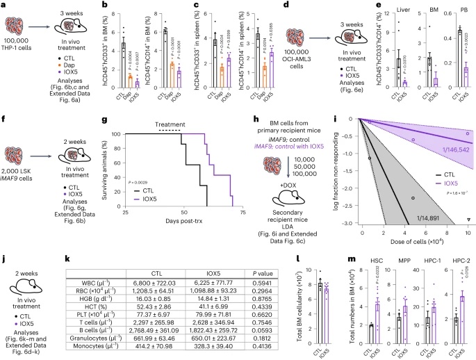 靶向治疗AML的新方法：抑制PHD稳定HIF-1α