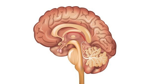 苔藓样念珠状疹的护理措施及锻炼方式