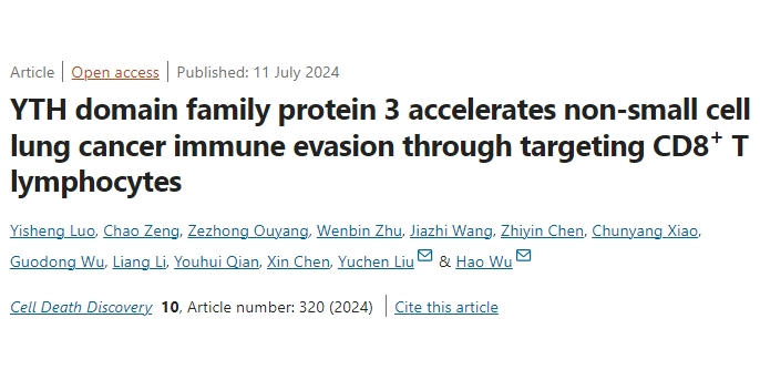 深圳大学吴昊团队揭示YTHDF3在非小细胞肺癌免疫逃逸中的重要作用