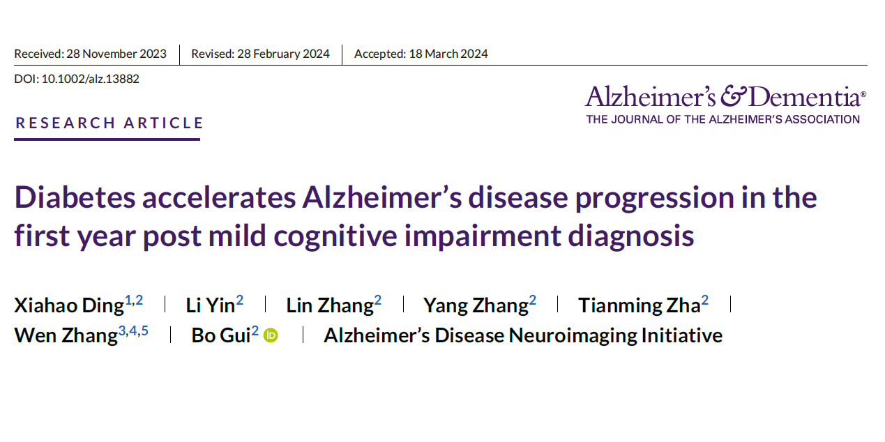 糖尿病加速轻度认知障碍向阿尔茨海默病的发展：关键干预窗口期的重要性