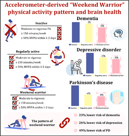数智健康新发现：智能穿戴设备揭示“周末勇士”运动模式与大脑及精神健康的紧密联系