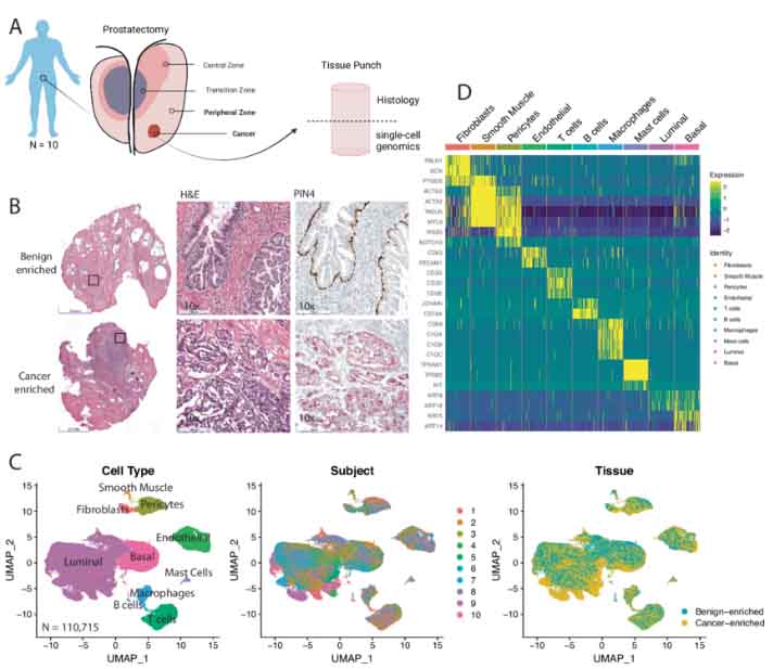 1725875529806882.jpg zx20240909074834917040473004.jpg