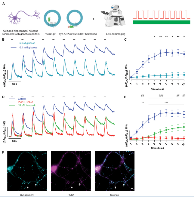 1725876612478145.png zx20240909074619752313845598 (1).png