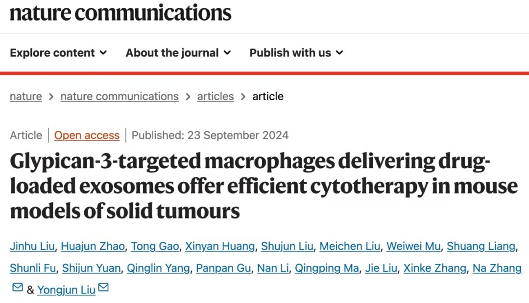 Glypican-3靶向巨噬细胞递送药物外泌体在实体瘤治疗中的应用研究