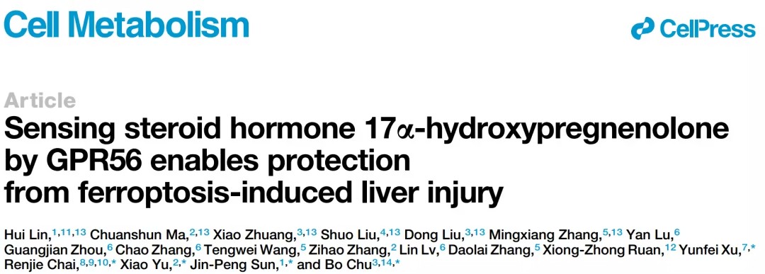GPR56调控铁死亡的机制与肝损伤治疗新策略
