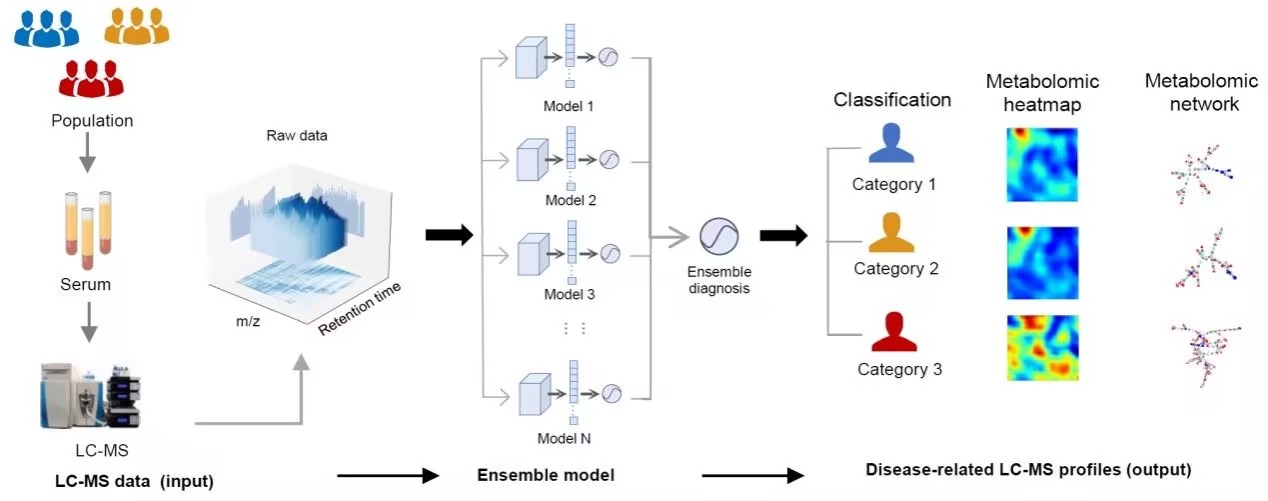 DeepMSProfiler：开创性端对端深度学习方法推动代谢组学在疾病诊断中的应用