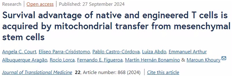 线粒体转移技术的突破性应用：增强T细胞和CAR-T细胞抗癌能力的创新路径