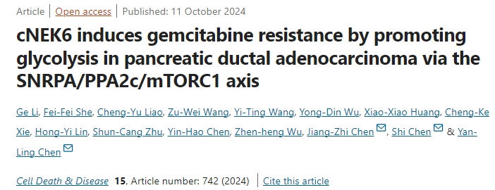 cNEK6通过SNRPA/PPA2c/mTORC1轴促进糖酵解，诱导胰腺导管腺癌对吉西他滨的耐药性