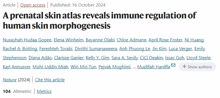 人类产前皮肤图谱揭示免疫细胞在皮肤发育中的重要角色