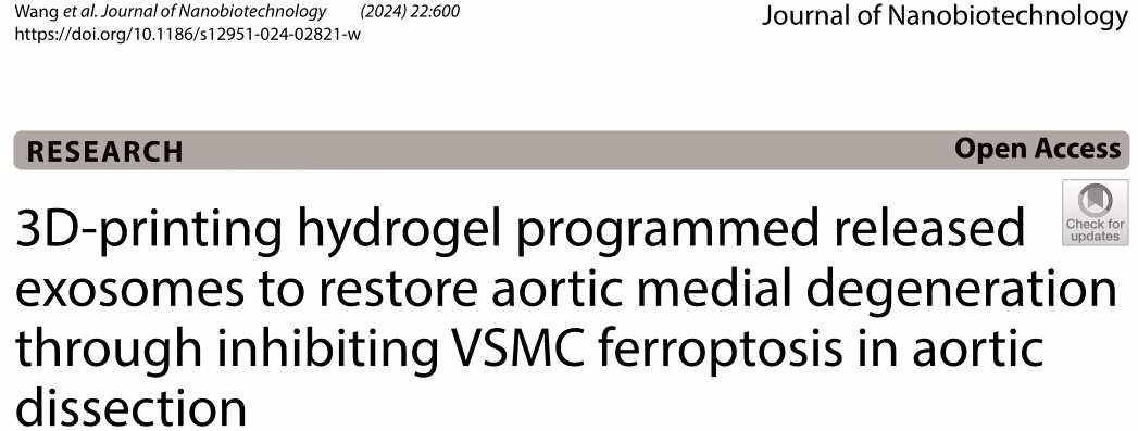 3D打印水凝胶编程释放外泌体在主动脉夹层治疗中的应用研究