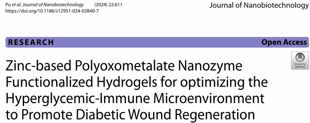 基于锌基多金属氧酸纳米酶功能化水凝胶的糖尿病创伤修复新策略