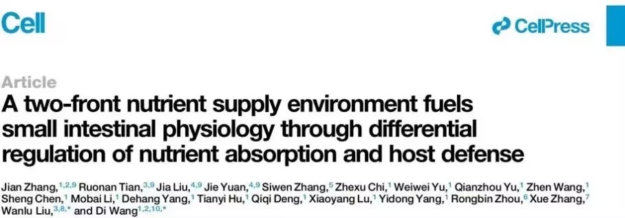 小肠双向营养供给环境与机体稳态调节的关系研究