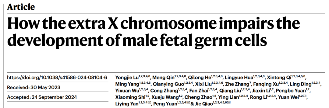 额外X染色体对男性胎儿生殖细胞发育的影响研究