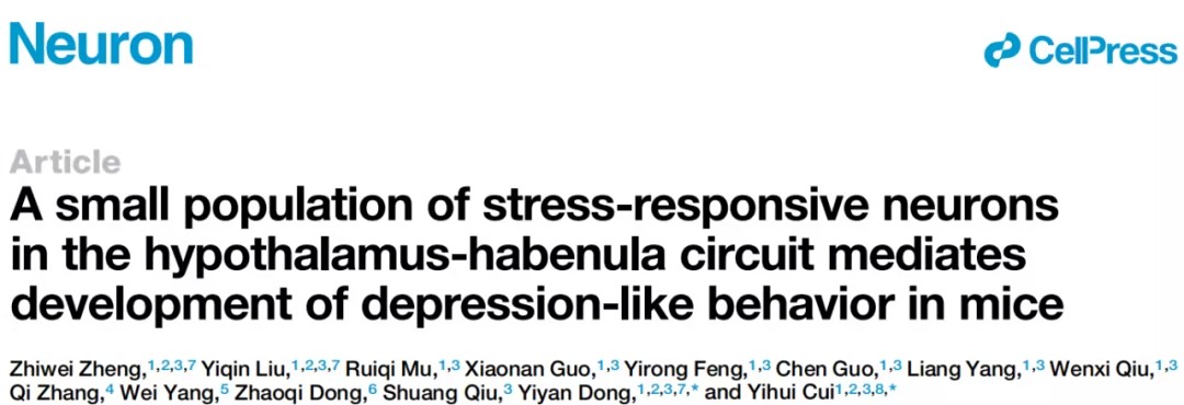 基于压力响应的核心神经元研究揭示抑郁症机制的新突破