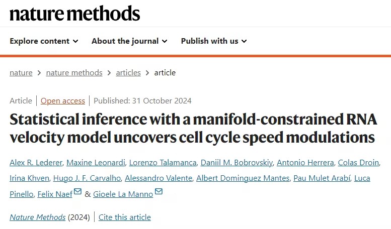 VeloCycle：利用流形约束RNA速度模型揭示细胞周期动态的新方法