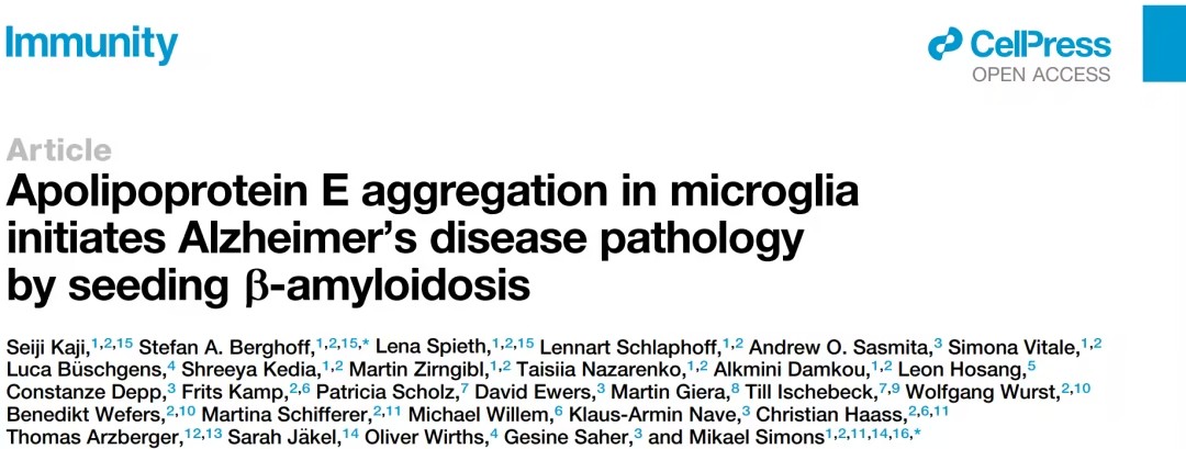 APOE聚集体在小胶质细胞中诱导Aβ淀粉样变性及其在阿尔茨海默症中的关键作用
